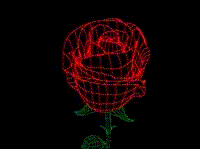 Moving Flower! Rose